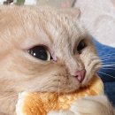 다산카센터 이미지