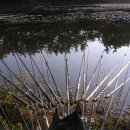 대창정미소 이미지