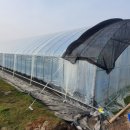 하우스농장 이미지