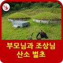 한우 | 부모님과 조상님 산소 벌초하고 왔어요!!