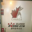 치악복싱체육관 이미지