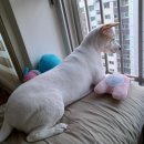 리트그룸 이미지