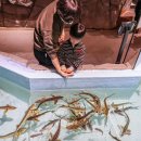 동주캣 | 경주 실내동물원 보문단지 주렁주렁 먹이주기 체험 아이와 가볼만한 곳으로 추천