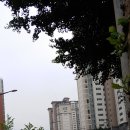 내손탁구장 앞 이미지