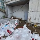 새대한약국 이미지