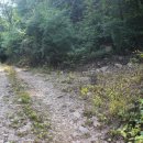 덕인농장 이미지