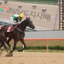 원더풀투어(주) 스포츠동아