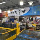 태진수산(주) | 삽교 맛집 태진수산 통통한 대하가 저렴하고 맛있는 곳 추천