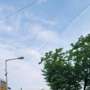 솔밭개울 이미지