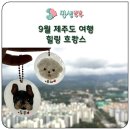 카페봄봄외도점 | 9월 제주도 여행 힐링 호캉스