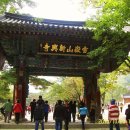 서부소공원 이미지