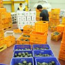 내촌농협 농산물산지유통센터 이미지