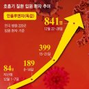 Respiratory Disease 이미지