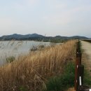 우포늪생태공원 이미지