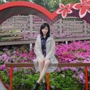 고강선사유적공원 이미지
