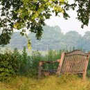 호숫가의 풍경 이미지