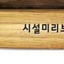 우리오토캠핑장 이미지