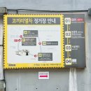 백곰사 | 가족, 연인과 함께하는 봄 나들이 추천 장소! 동물애호가를 위한 성지, 서울동물원 #서울대공원...