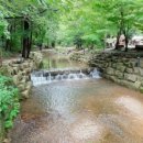 장흥 자연휴양림 | 🌲장흥자연휴양림 완전정복!