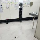 나무 당구장 이미지