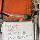 신산포구수산자연산횟집 | 요즘 핫한 속초 오징어 난전에 다녀왔습니다. 주차장 꿀팁, 성게알 꿀팁