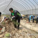 유영훈농장 이미지