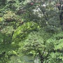 거산(아) | 📍 오랜만에 함께한 힐링의 시간 – 거산 투어 당일치기 여행 후기