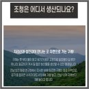 금자농장 이미지