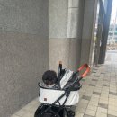 언니도그 | 무료 펫 선물 도전하세요 왓도그캣 포로리 강아지 유모차 후기