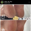 살롱드피카