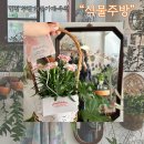 시간을 엮다 라탄 | [인천/부평] 인천 꽃집 추천,부평구청 '식물주방'카네이션 라탄바구니 화분구입 후기