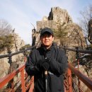 강변 농장 이미지