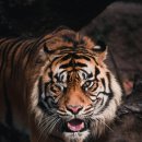 베스트온누리약국 이미지