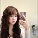 빈센트 헤어 이미지