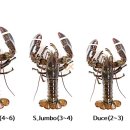 (주)앤시앤 이미지