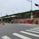 장미카센타 이미지