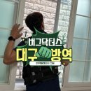 버그닥터스