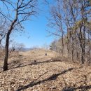 독산봉수지 이미지