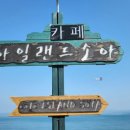 아일랜드 소야