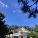 봉곡동213 이미지