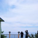 망양주유소 이미지