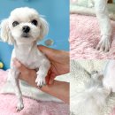 포항시외버스터미널 이미지