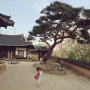 옥연정사 | [한옥 고택 숙소] 옥연정사 후기