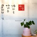 바담코다리 명지점 이미지