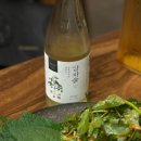 (주)엄마요리 | 서울합정술집 전통주와 한식요리 주락간 엄마와 데이트 후기