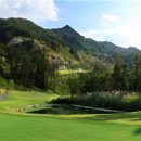 일레븐CC 이미지