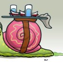 영어 회화A 이미지