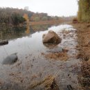 호수공원11로 이미지