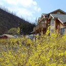 체르맛트2 이미지