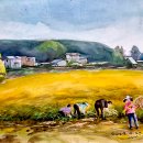 마정3리 이미지